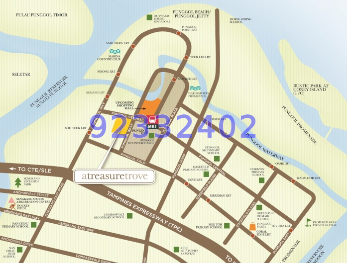 A Treasure Trove (D19), Condominium #38450372
